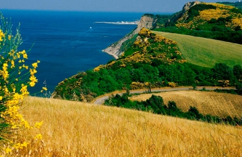 Andrea Zucchi (Sel Pesaro e La Sinistra): "allarmanti le parole del sindaco Ricci sul Parco del San Bartolo"