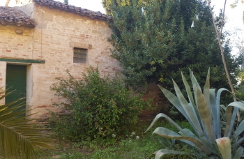 C’era una volta un sentiero nella selva: domenica walkscape sentiero Santa Croce