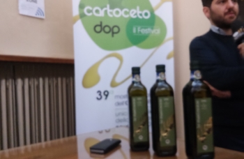 Cartoceto DOP, il festival: tre giorni per festeggiare l'oro verde delle Marche