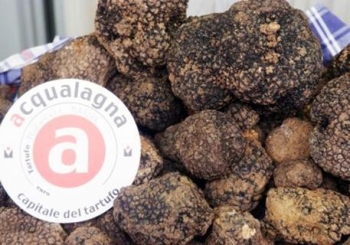 Fiera regionale del Tartufo Nero Estivo - 37esima edizione  Torna l'intenso profumo di Tartufo