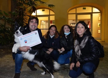 Primo cane "allerta diabete" delle Marche.  Biancani: "consegnato l'attestato a Nina, la border collie che ha superato l’addestramento"