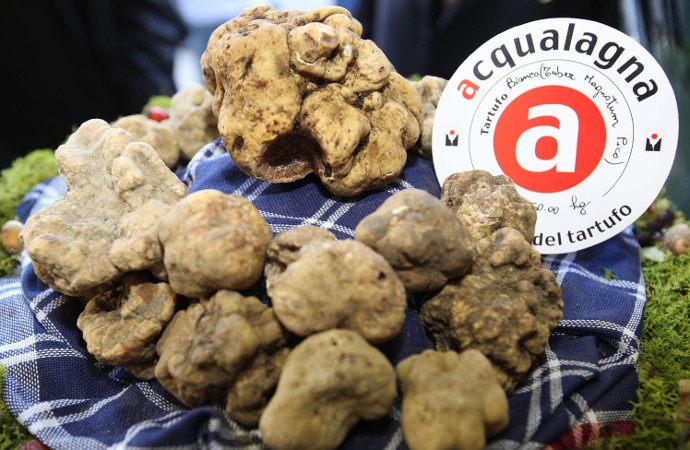 Acqualagna e il suo tartufo in una App di successo internazionale 