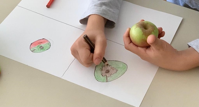 Coldiretti Marche, l’agricoltura del futuro passa per i banchi di scuola: lezioni al via alle elementari e boom di iscrizioni negli istituti agrari 