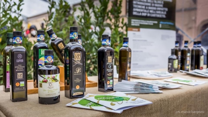 Dop Cartoceto, benvenuto olio nuovo: domenica si presenterà la nuova produzione