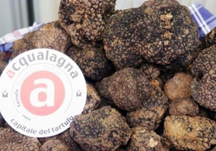 Fiera regionale del Tartufo Nero Estivo - 37esima edizione  Torna l'intenso profumo di Tartufo