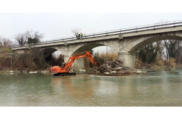 Ponte sul Metauro, rimossi grossi tronchi che rischiavano di ostacolare il deflusso delle acque